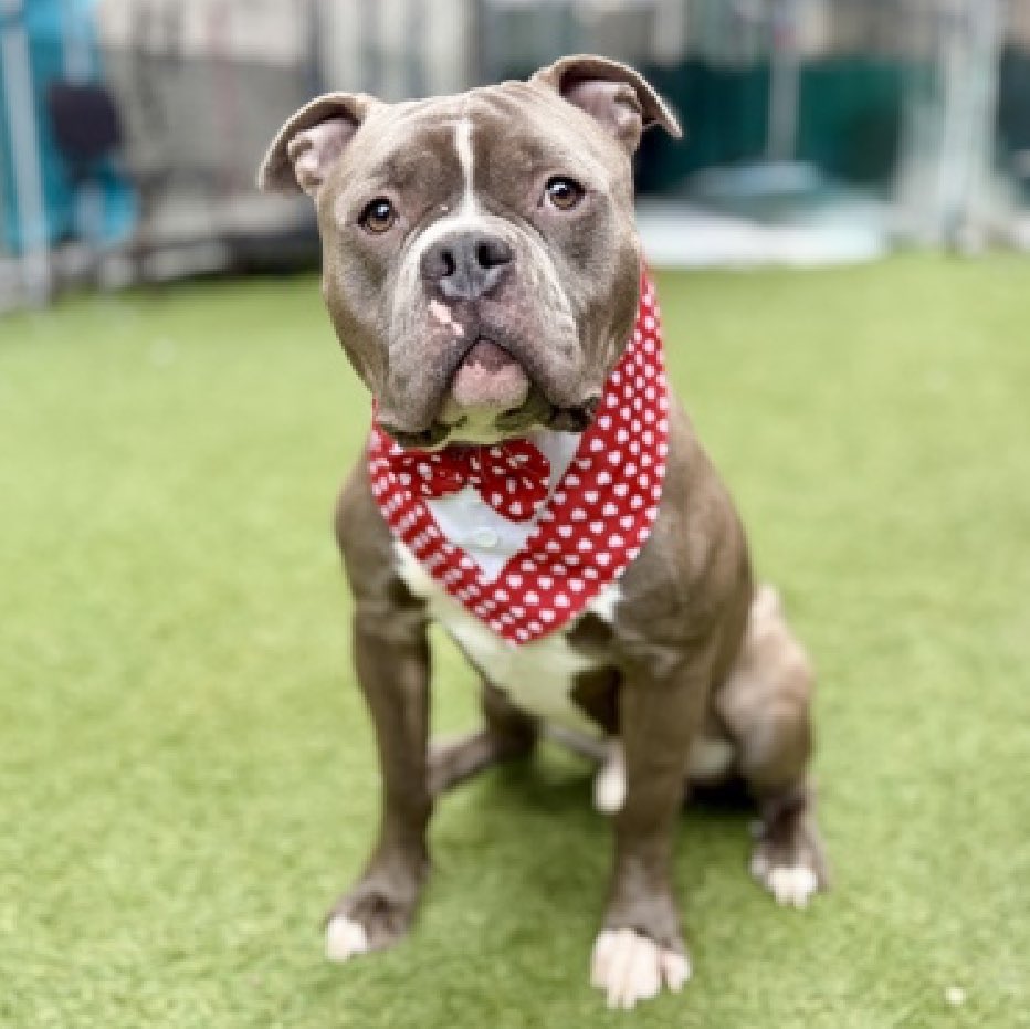 Julie🌻🐾 tweet media