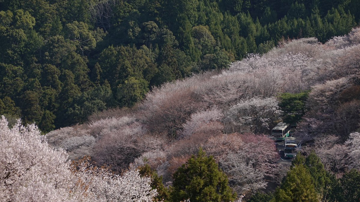 ミヤツカサケイ tweet media