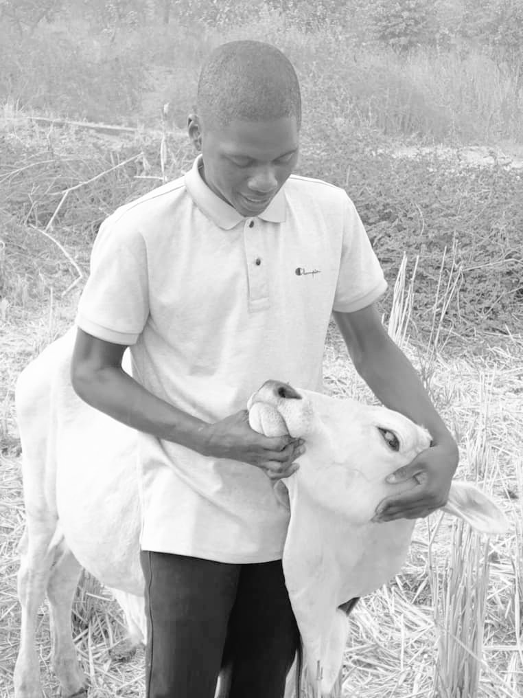 Farmwell tweet media