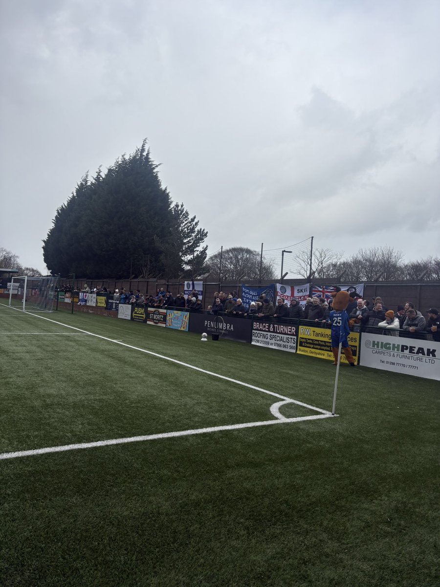 David Davies tweet media