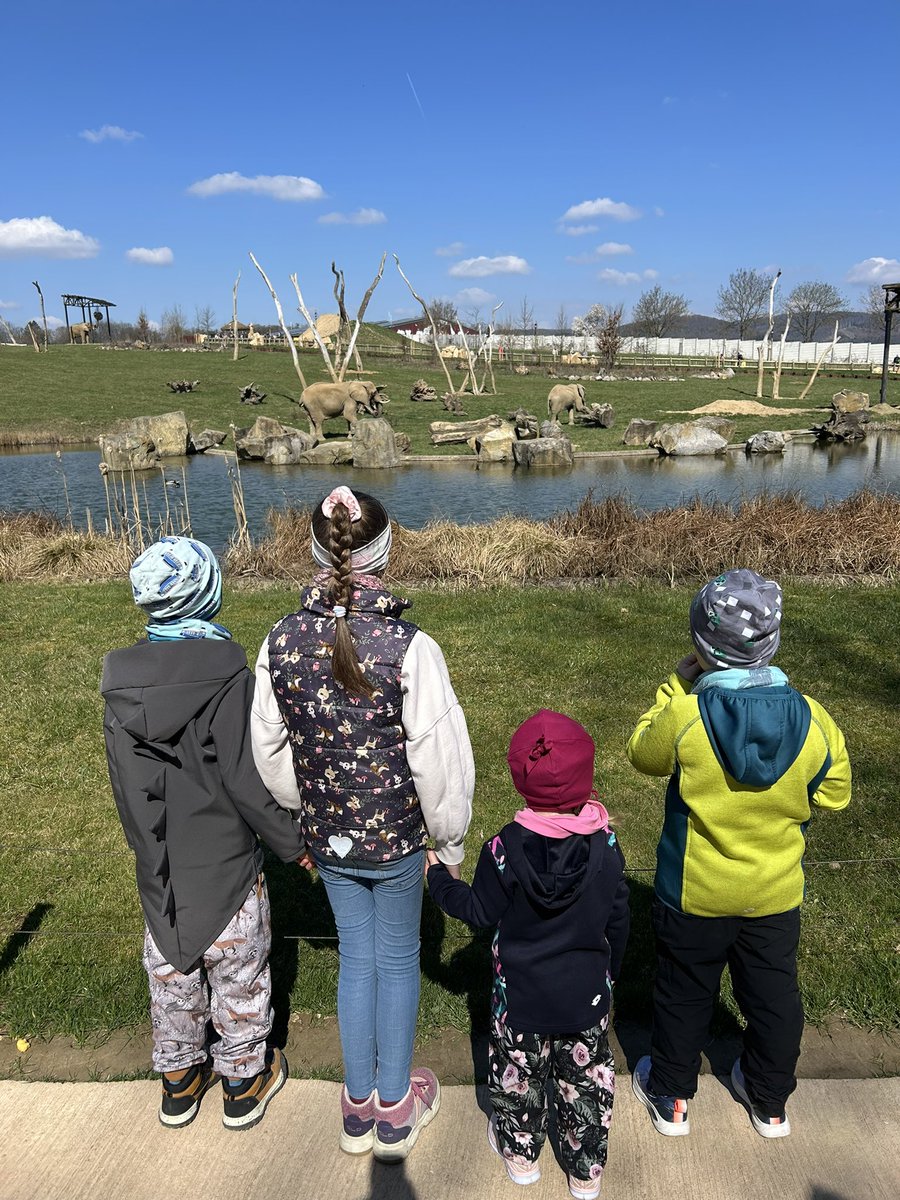 Hana 💫 tweet media