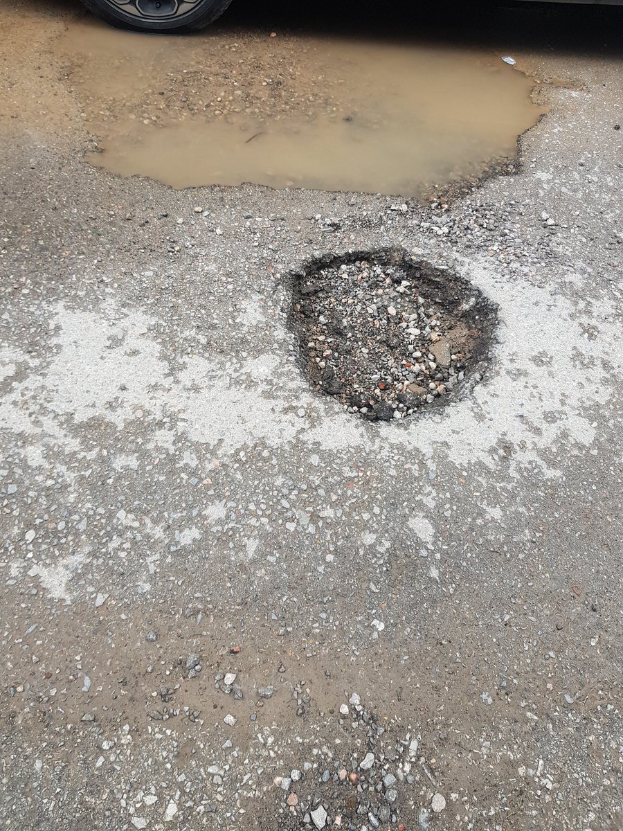 Shia Shia tweet media