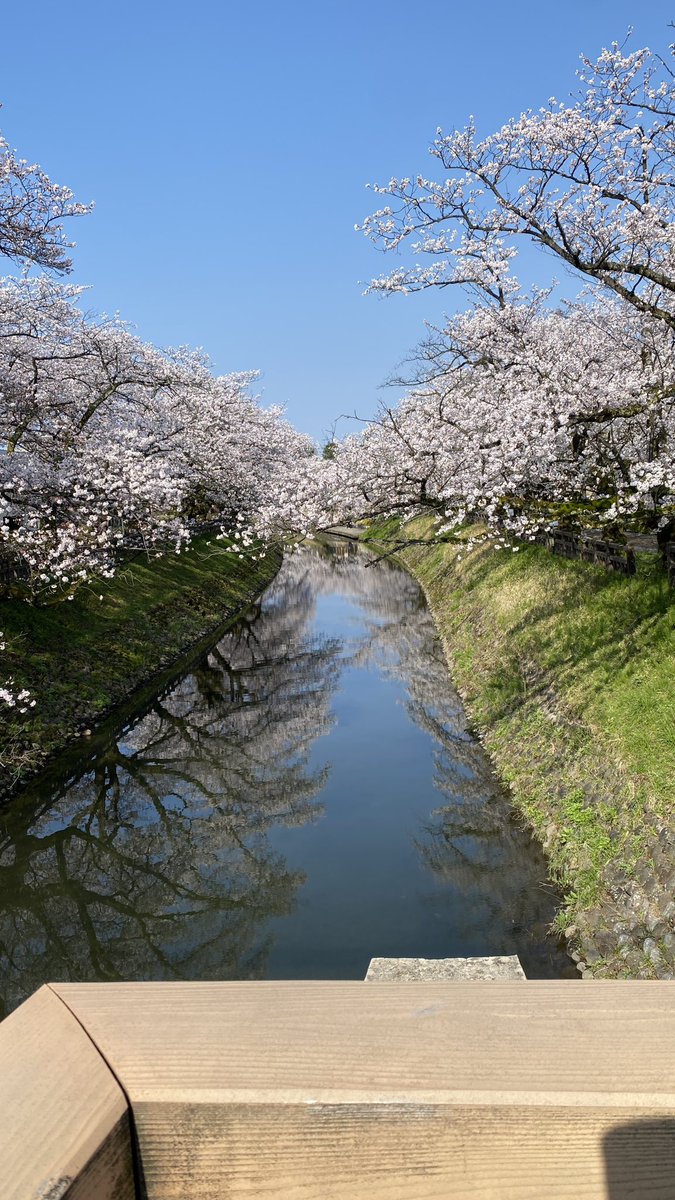 桜の松川べり散歩🌸その1
安住橋〜舟橋〜松川橋のこの区間が、私のお気に入り松川べりお花見ゾーン
混雑もあまりなく、お花見にちょうどいいベンチもほどよくあります。
特に舟橋からの眺めは写真を撮るのにもちょうどいい感じです
#富山市 #とやまおでかけ日記 
instagram.com/p/DWqr_vcEQhf/…