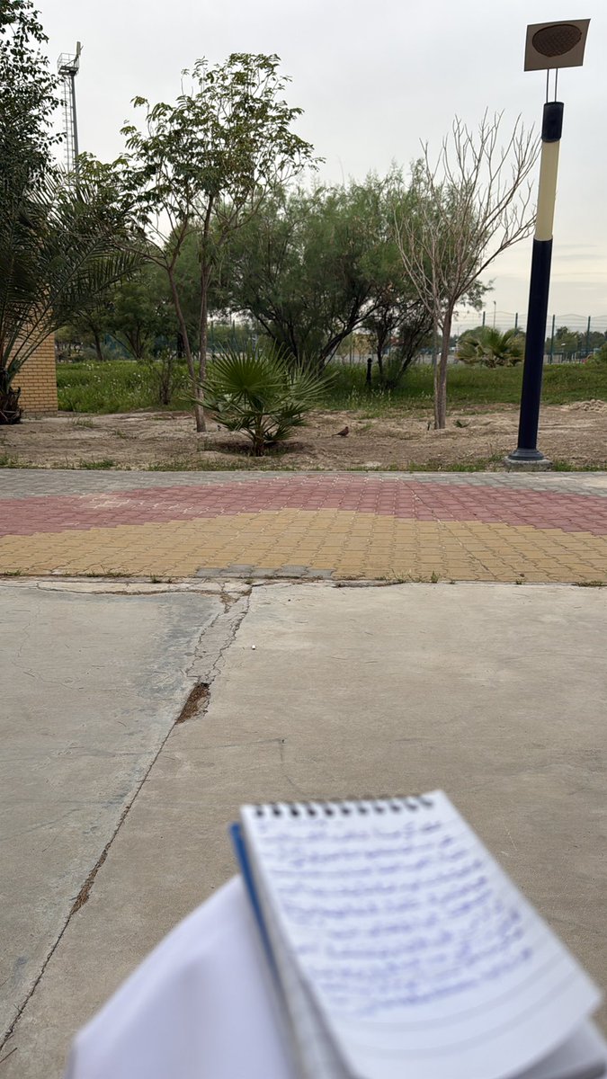 ✩ℎ𝑢𝑠𝑠𝑎𝑖𝑛𖤍 tweet media