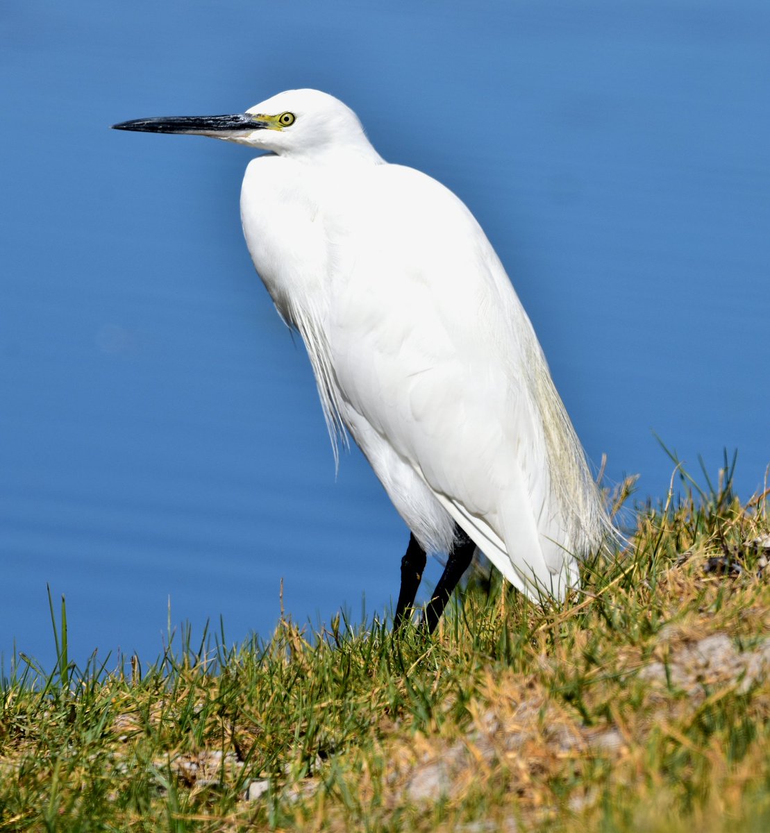 Man Camera tweet media