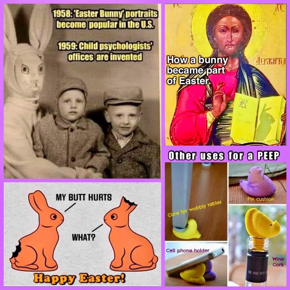 Jim Williams tweet media