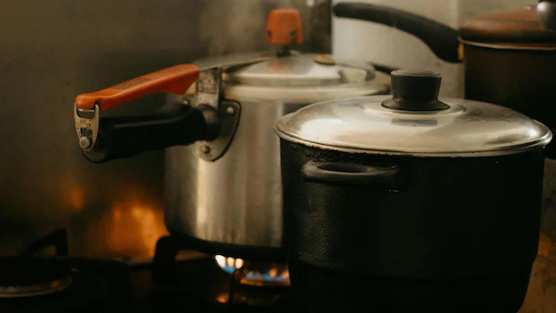 NDTVFood's tweet image. Pressure Cooking Is Quick And Convenient. But Does It Keep Your Food Nutritious?
food.ndtv.com/food-drinks/pr…
#pressurecooking #health #nutrients