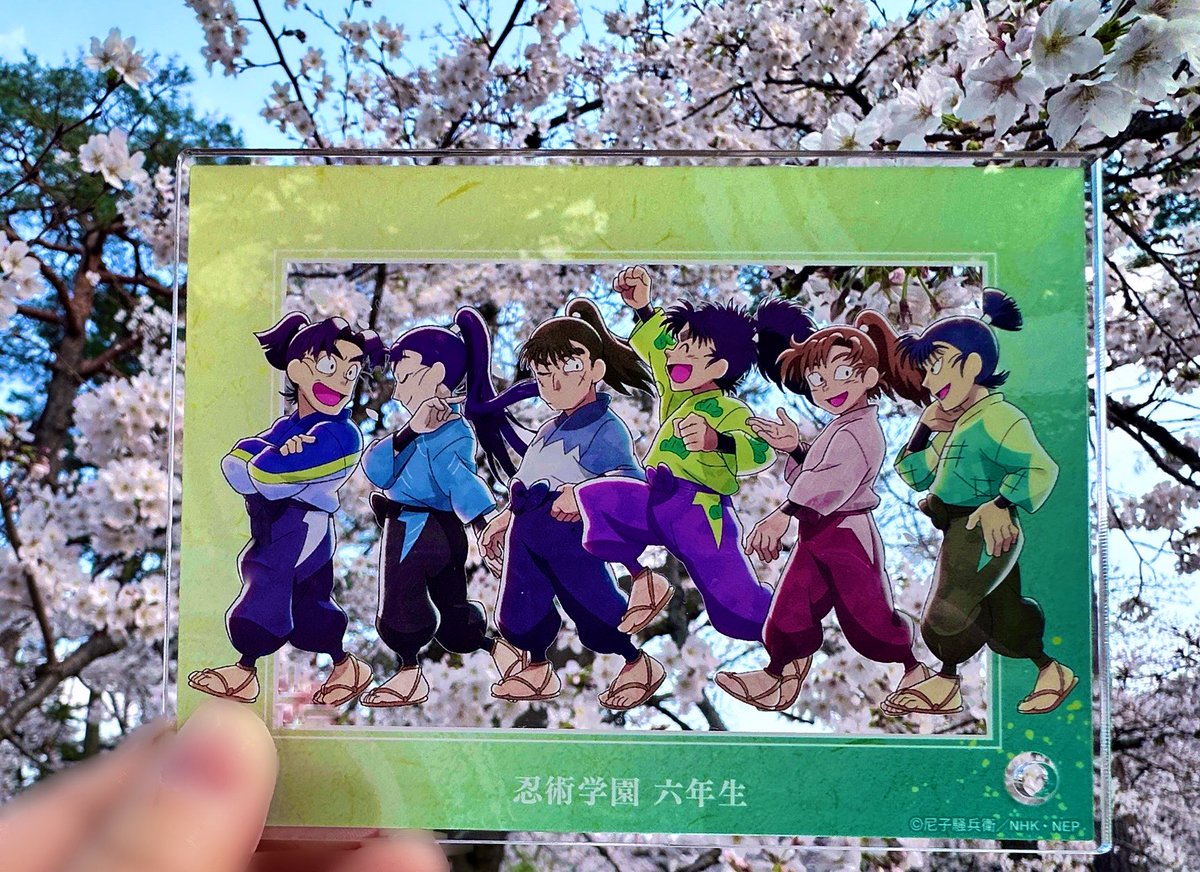 hkts1111's tweet photo. 毎年推しを連れてお花見にいくので今年は忍たまも🌸
アクスタもいいけどアクリルパネルもいいなぁ。重いけど😅
桜のもちぴこかわいい😍
ロフトのお花見のパネルは今日撮ったけど今年の桜もそろそろ終わりかなぁ…
金欠だから絶対行かない！と思ってたのに結局ロフトでいろいろ買ってしまった💸 https://t.co/SQMpXsIYYv