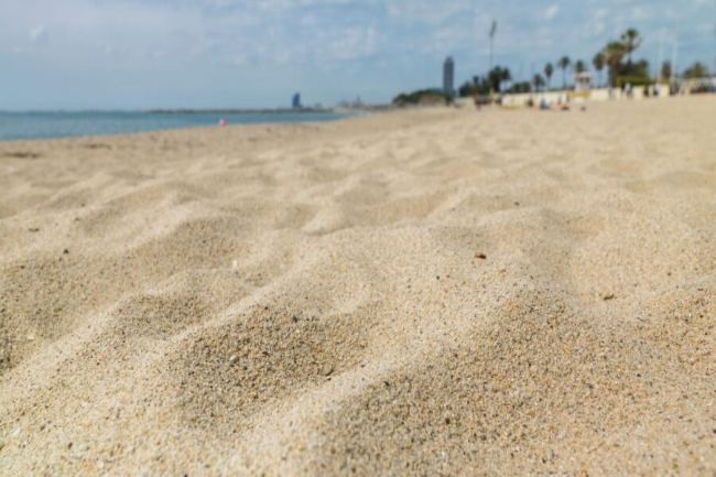 Diari de la DisCapacitat tweet media