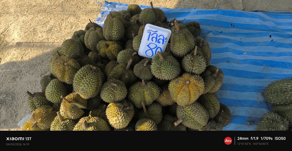 Sin Do Exist tweet media