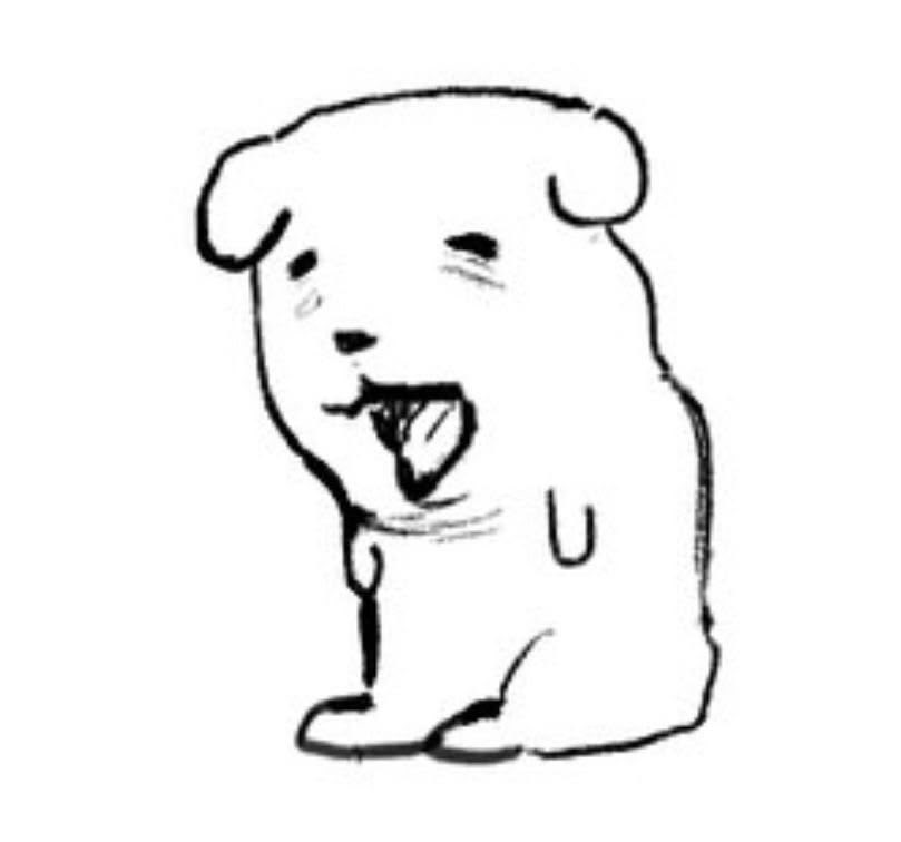 자감짱자 tweet media