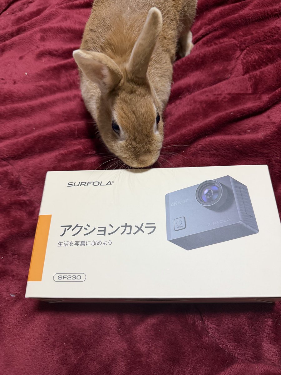 まかまか tweet media