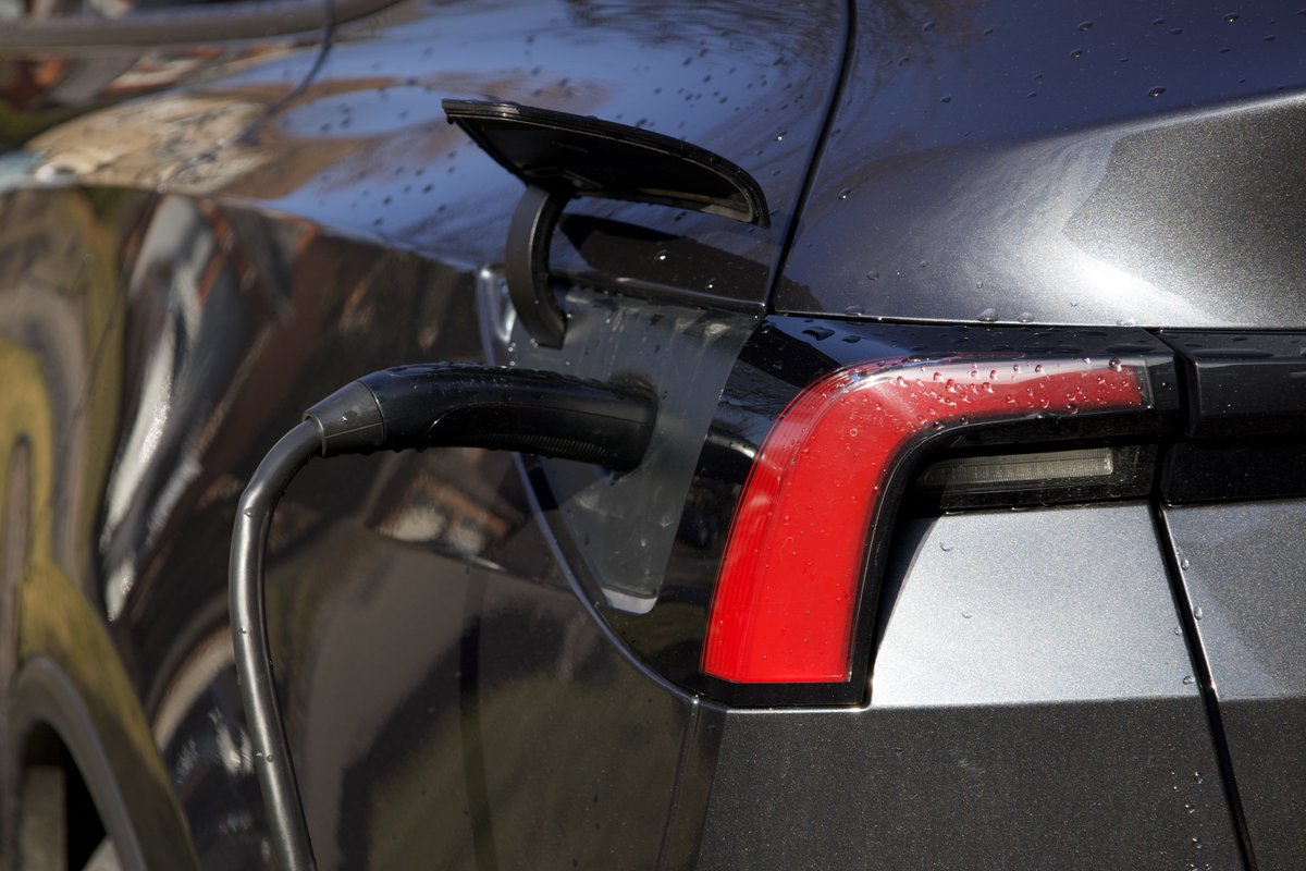 Nic Cruz Patane tweet media