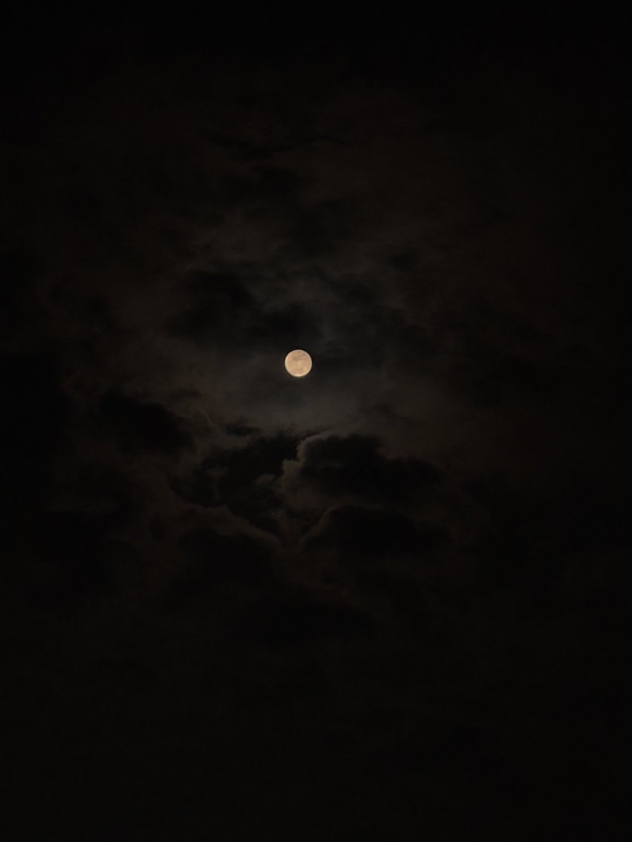 ALPHA DRIVE ONE tweet media