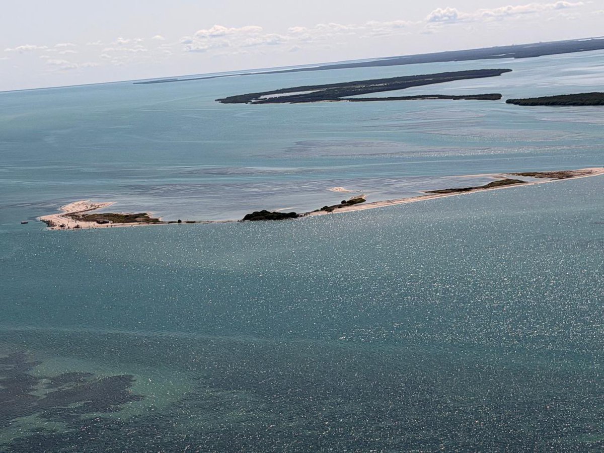 Petróleos Mexicanos tweet media