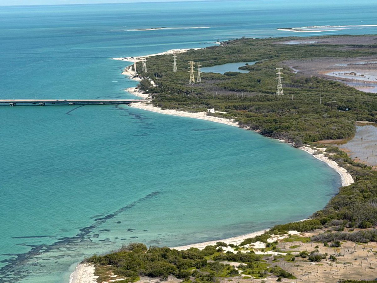 Petróleos Mexicanos tweet media