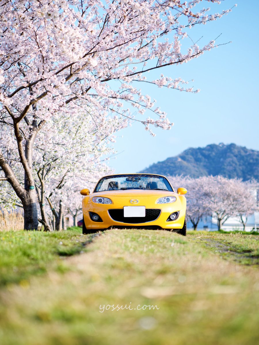 yossui_com's tweet image. #OMSYSTEM #OM1
M.ZUIKO DIGITAL ED 45mm F1.2 PRO

#ロードスター