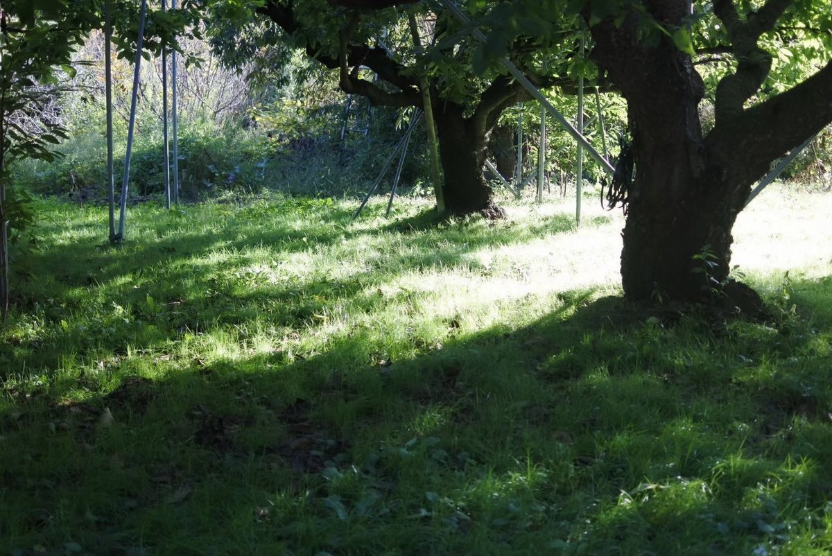 ⋆ ☄︎. ·˚ * ꙳ tweet media