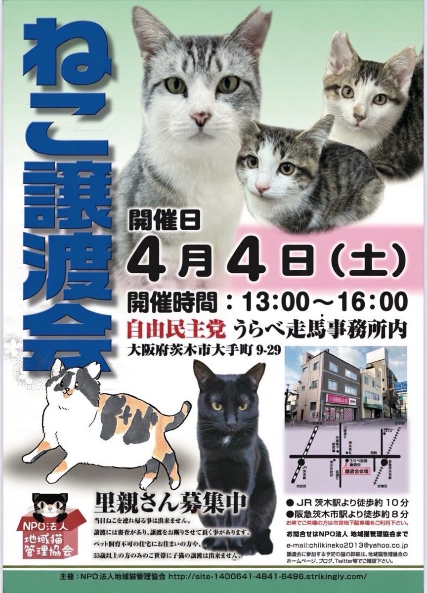 保護猫かふぇ かぎしっぽ tweet media