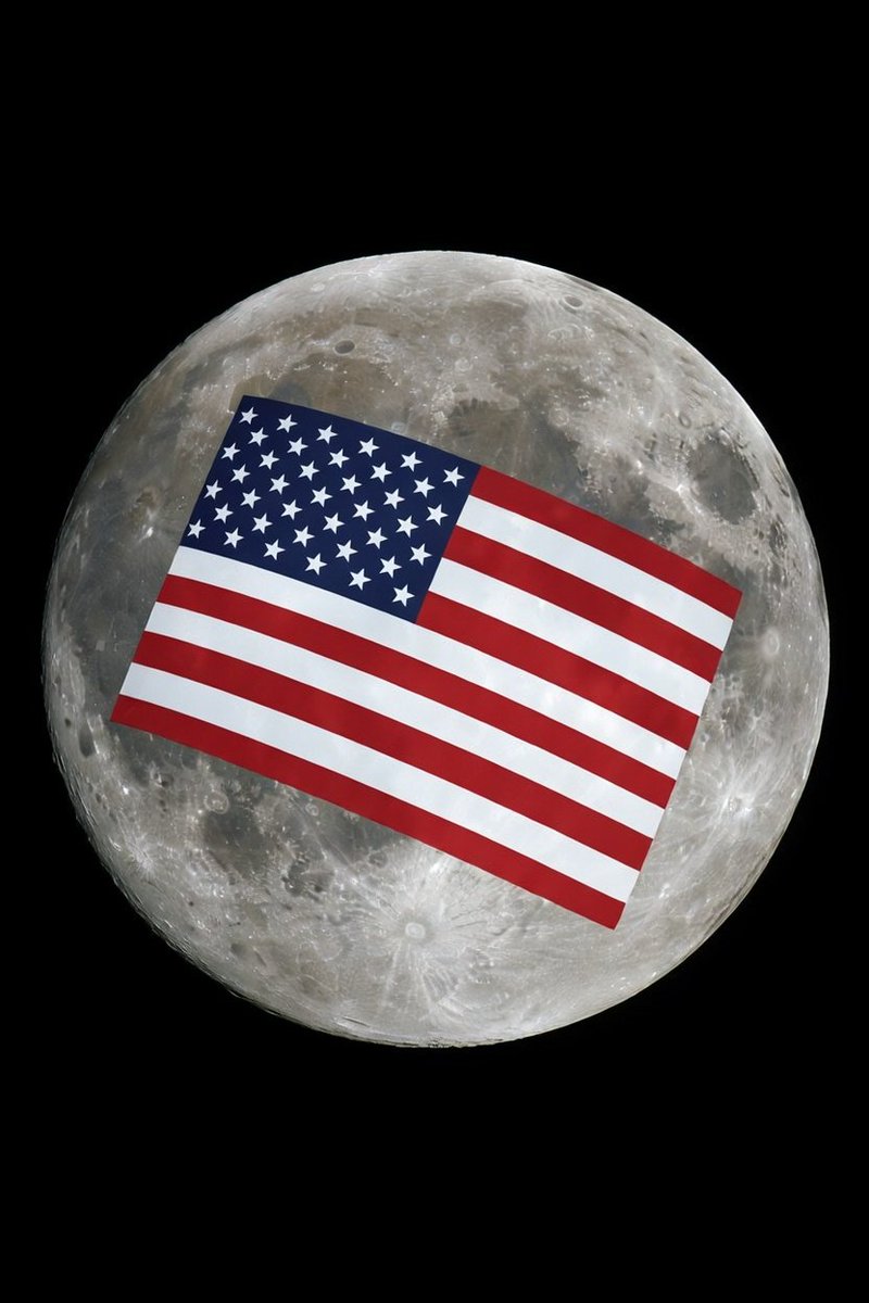 🇺🇸 FlooflesNootNoot tweet media