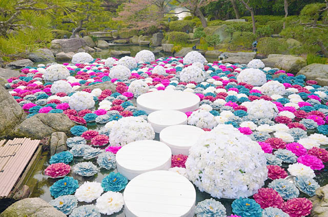 福岡のニュース tweet media