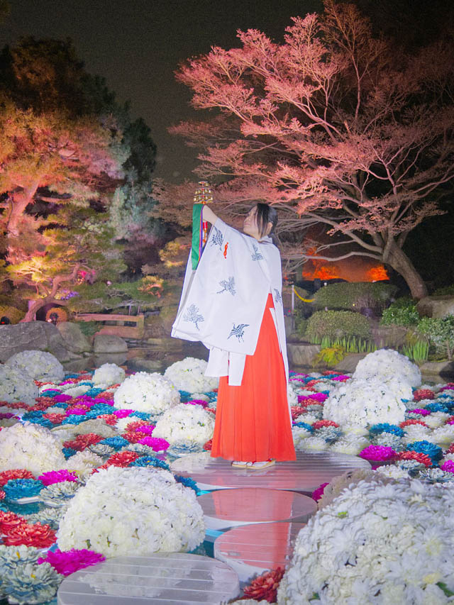 福岡のニュース tweet media