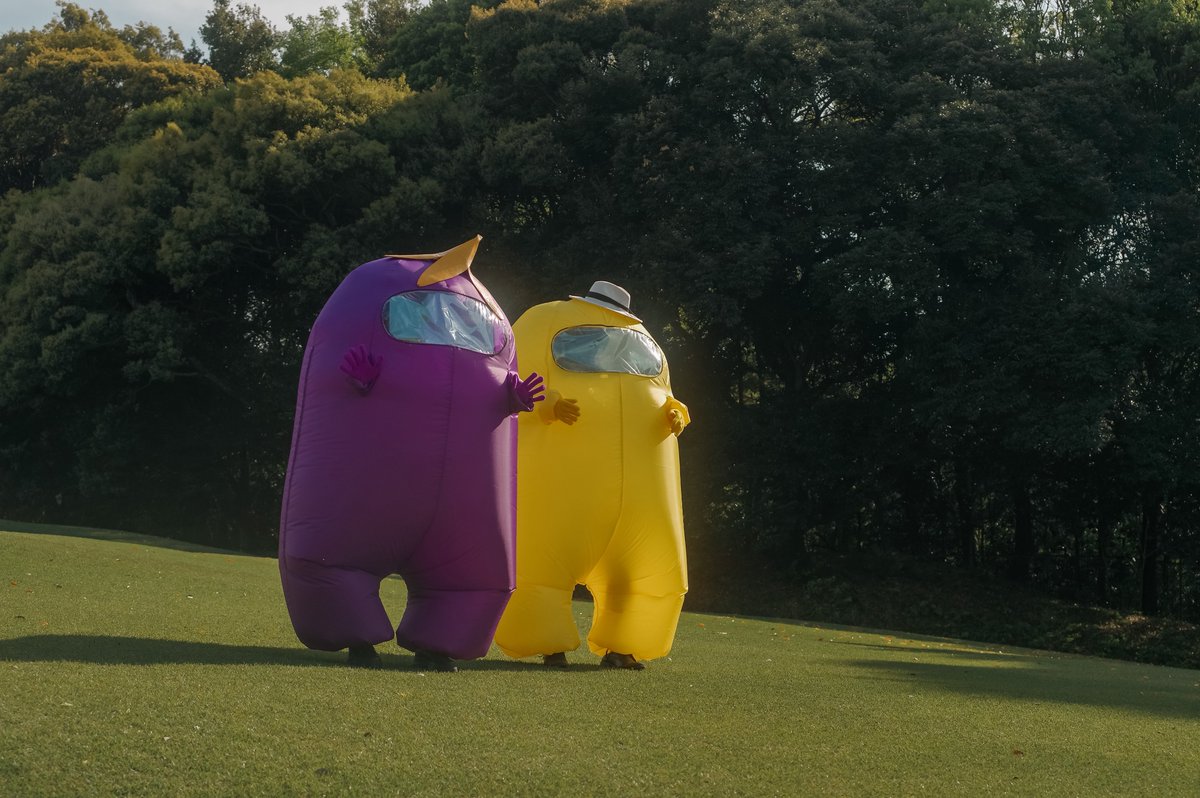 = 𝗖𝗢𝗟𝗧 = tweet media