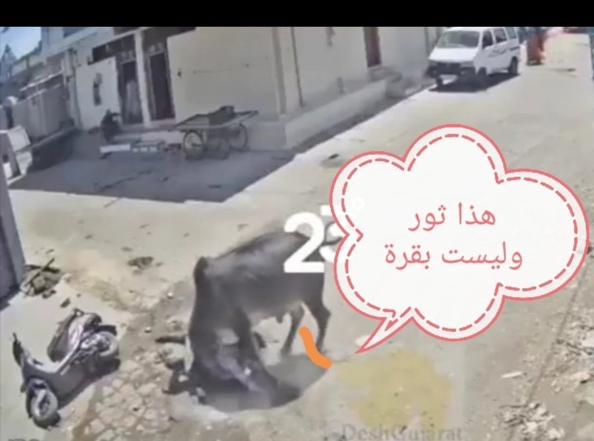 حسين, tweet media