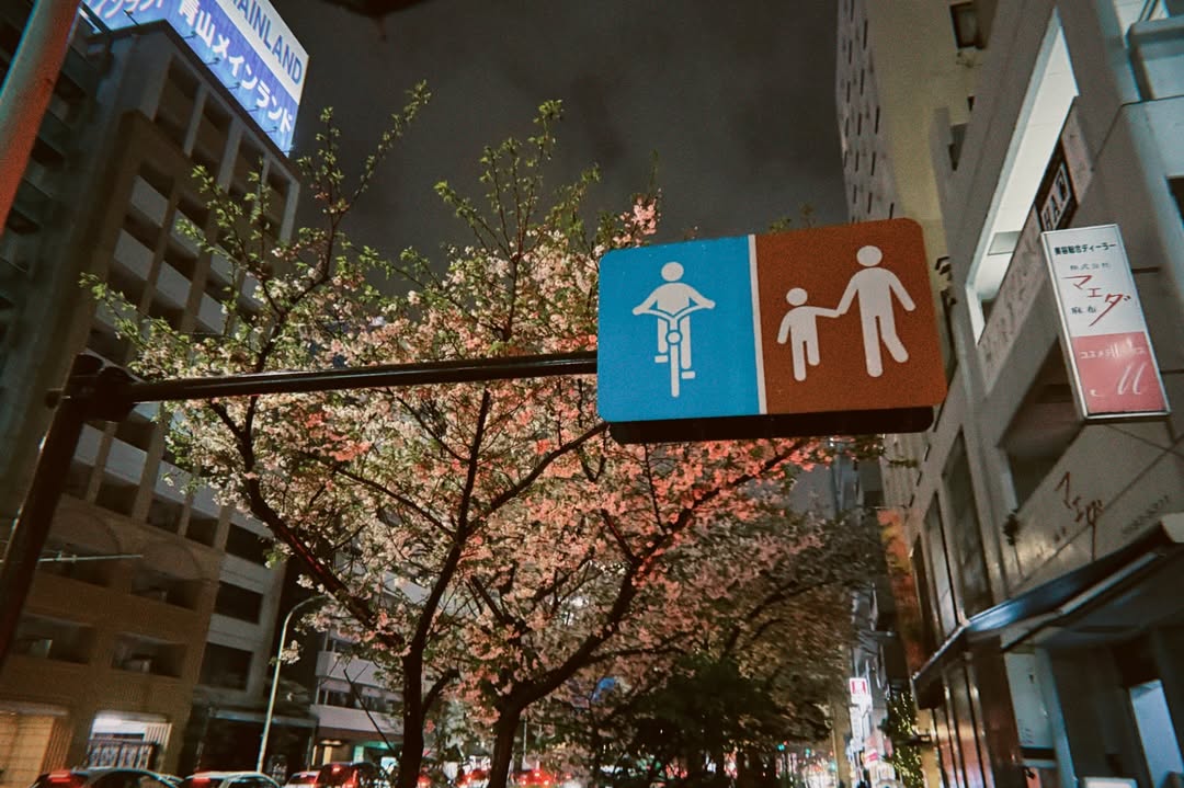 260403 인스타그램 #차주완 #CHAJOOWAN