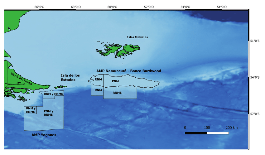 fragi 💫 tweet media