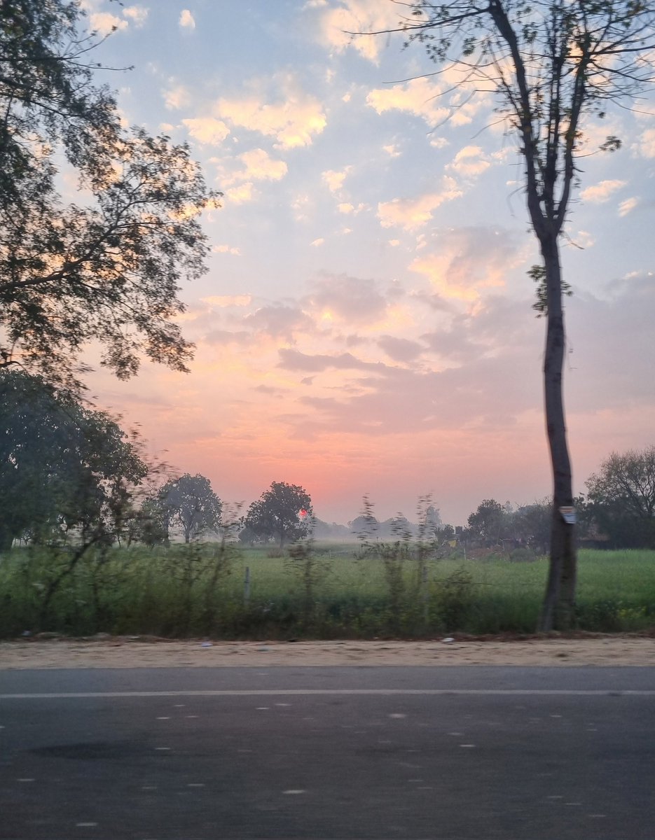 Neetha Muraleedharan tweet media