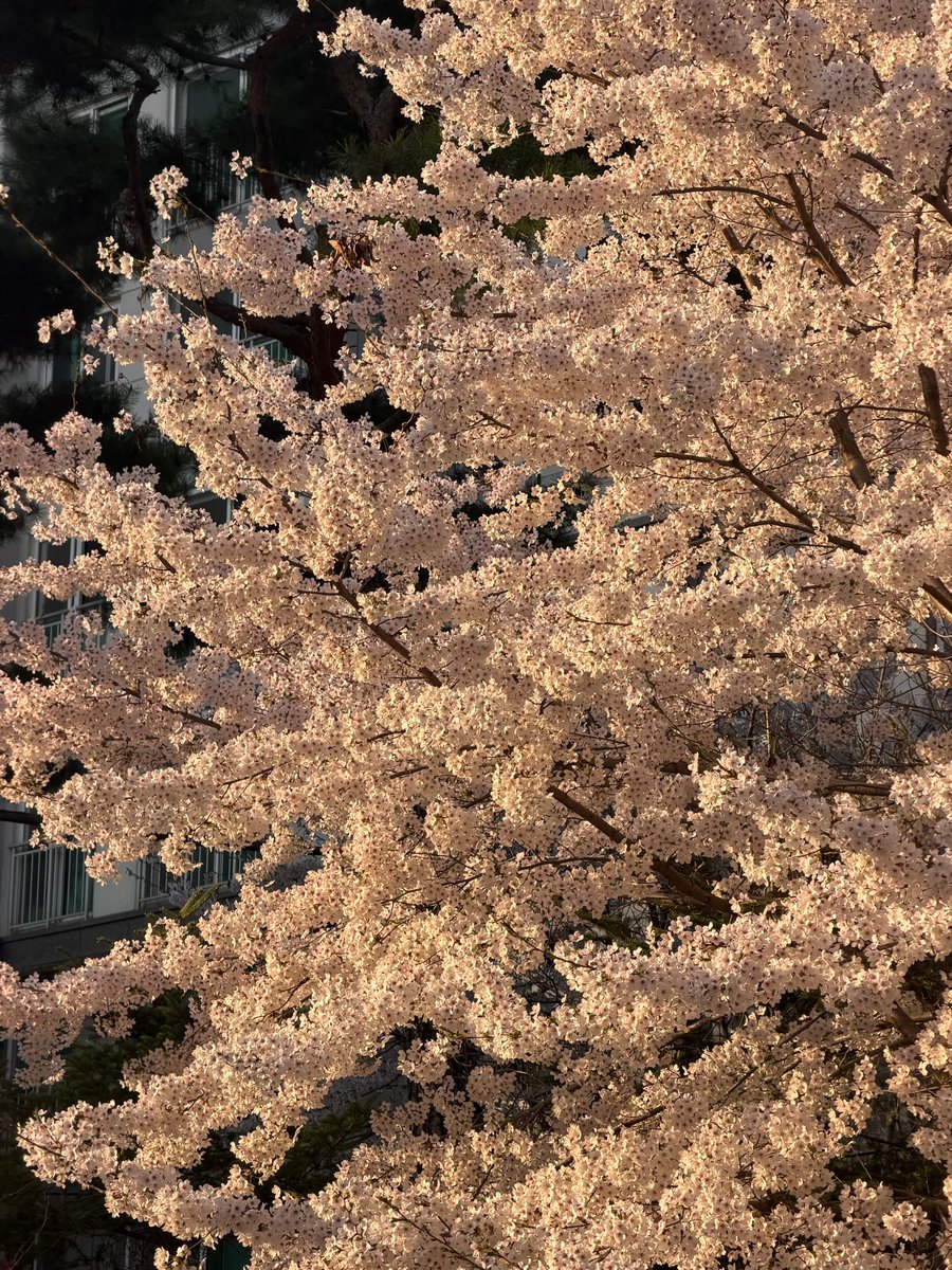 zb1 updates🌱 tweet media