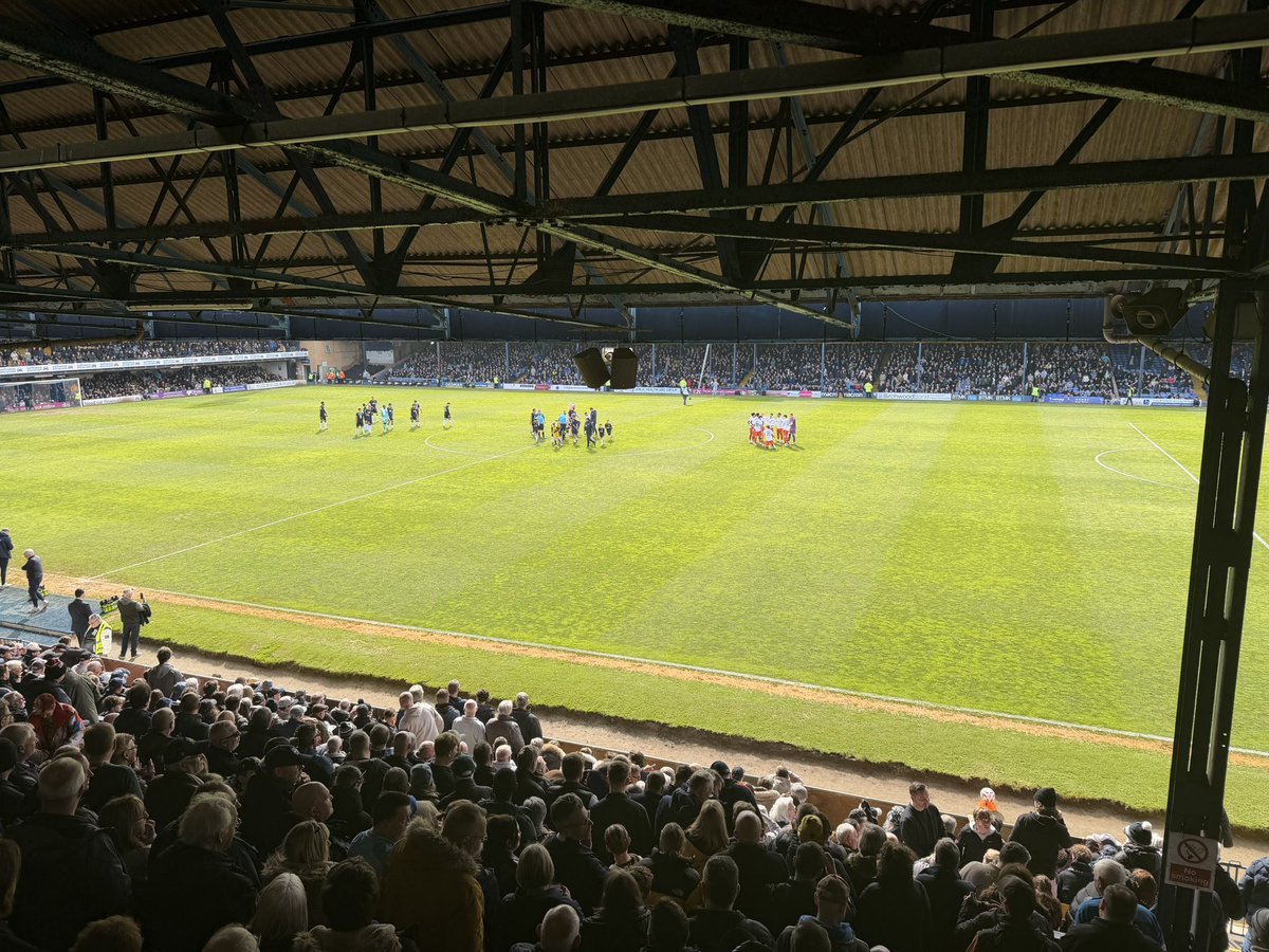 Nelmo & Co tweet media