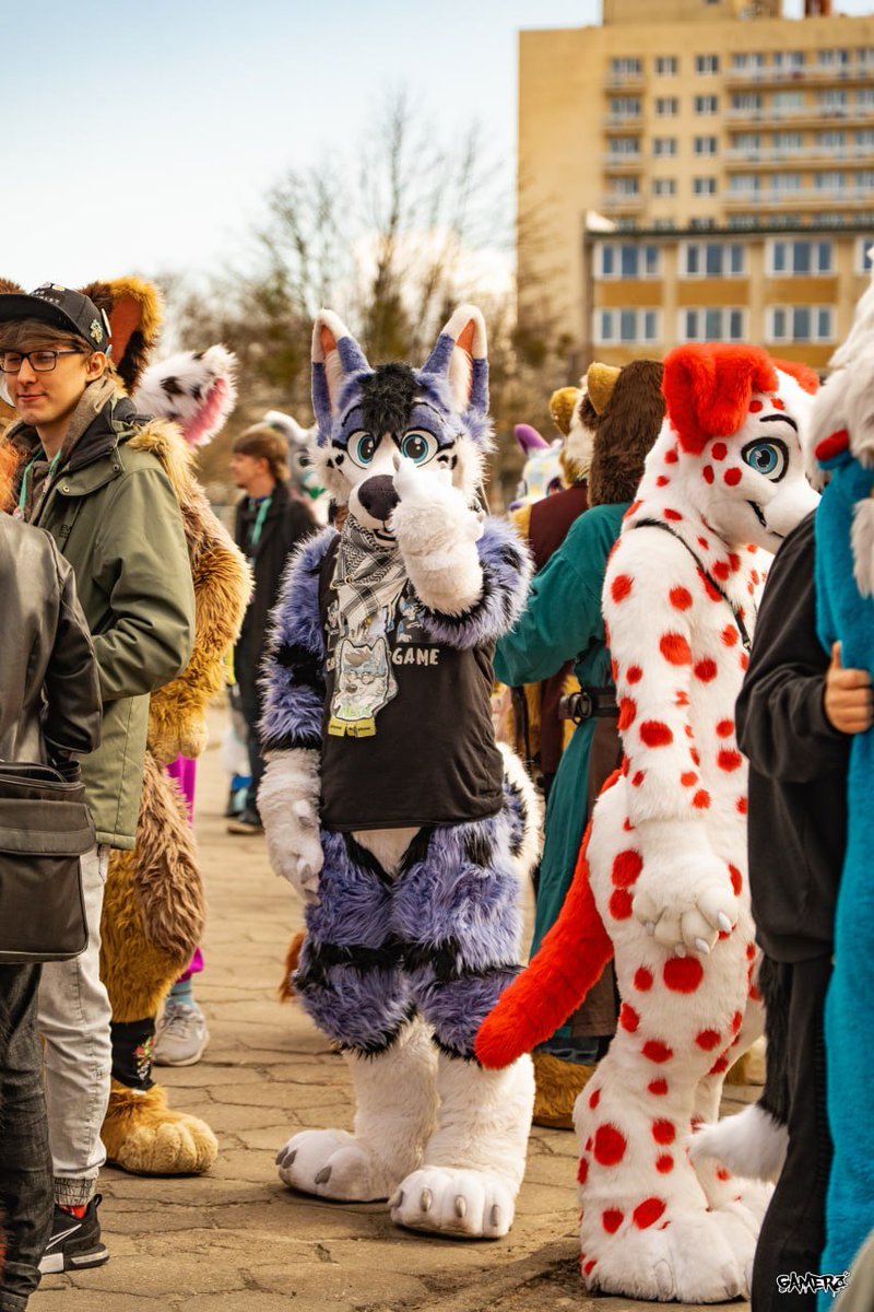 Rare elusive Tumblefloof tweet media