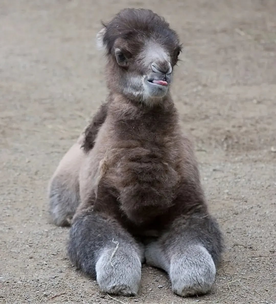 J Dawg Esq. tweet media