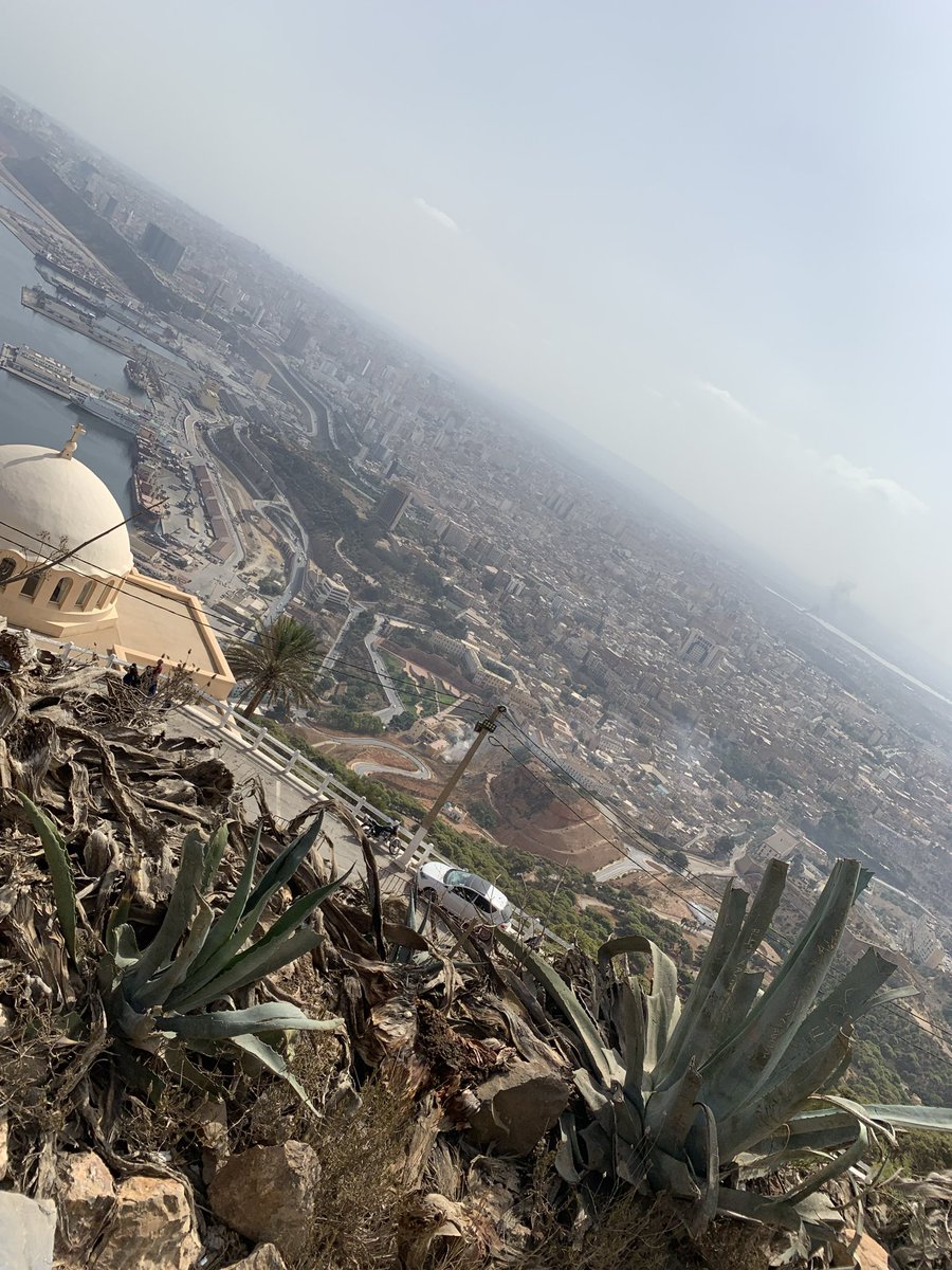 Sangohan tweet media