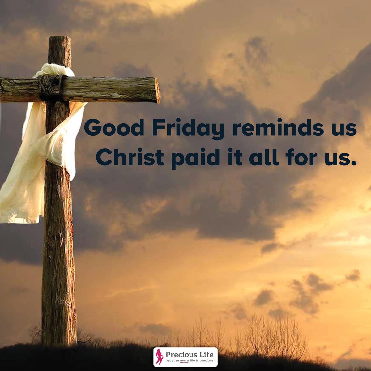 PreciousLifeCom's tweet image. Christ paid it all for us. Every life has incredible God-given dignity, purpose, and inherent worth. 

#PrayToEndAbortion  #GoodFriday #prolife