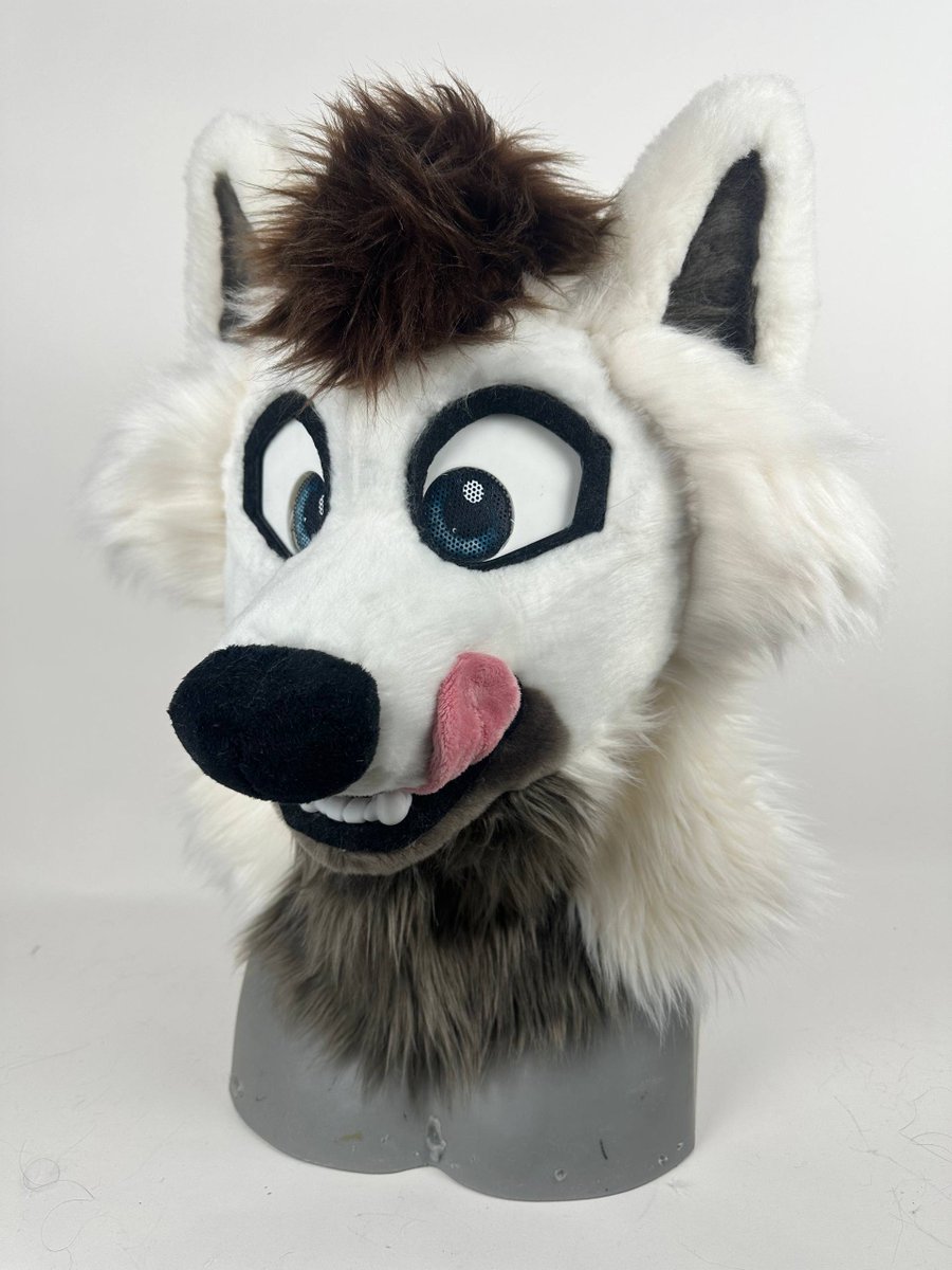 Pinu Studios tweet media