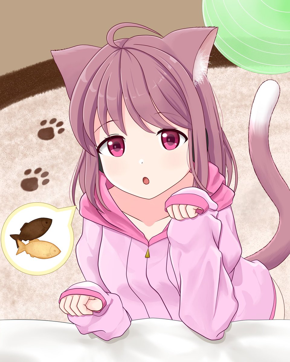 寅寝琥 (とらねこ) tweet media