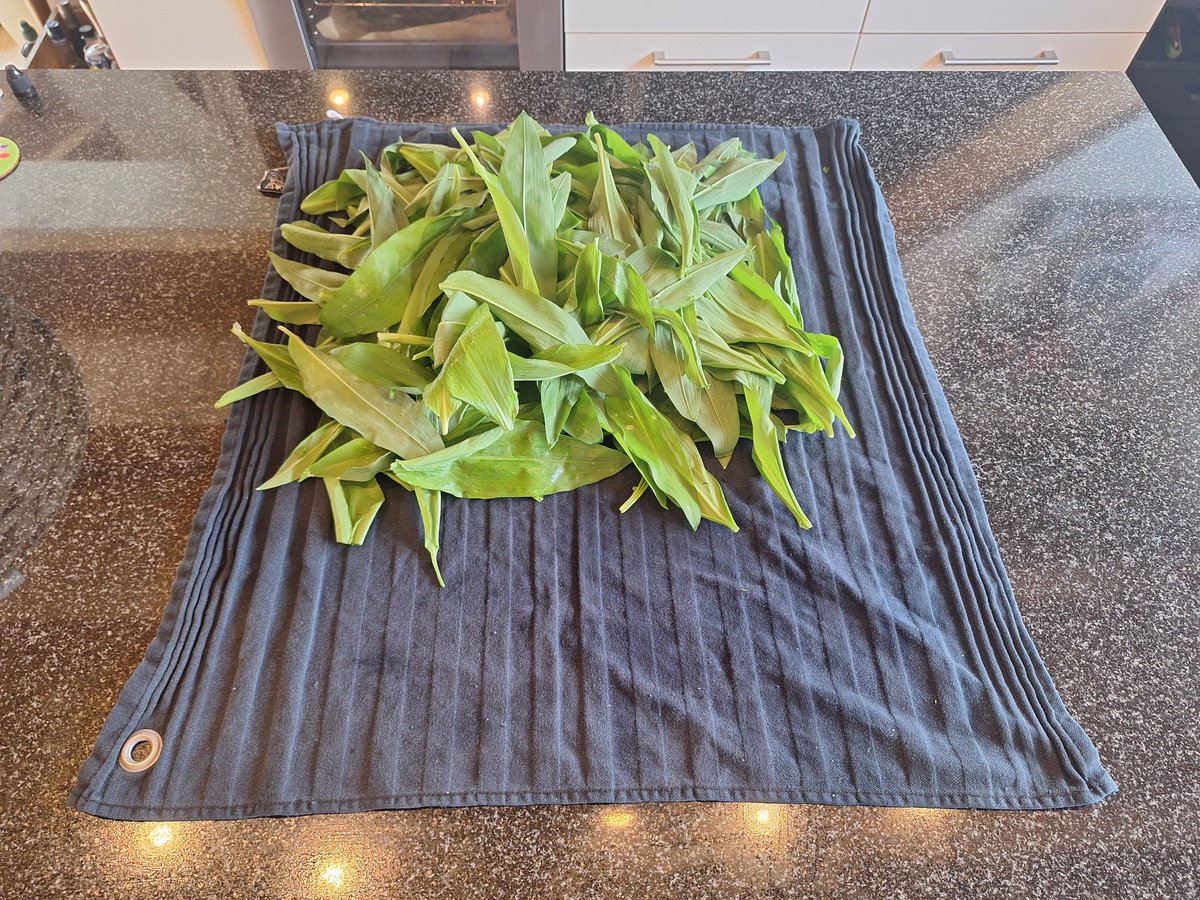 Fr. von Katz 🪤 tweet media