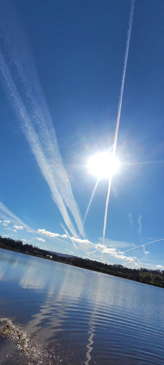 ANGRYNIC tweet media