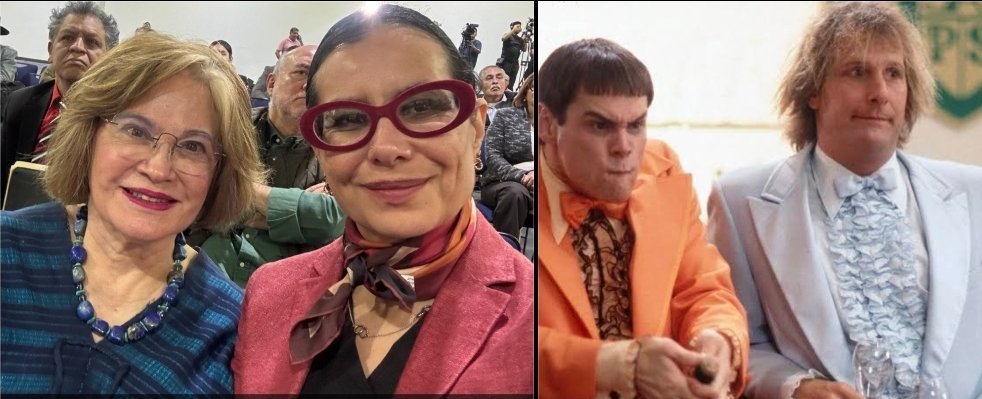 J. Taveroo 🐍 tweet media