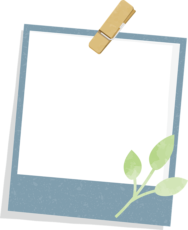 Aly Mackay tweet media