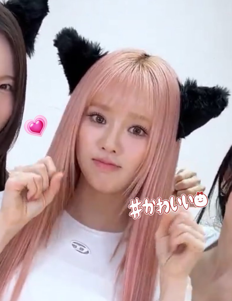 ぁぉぃ tweet media