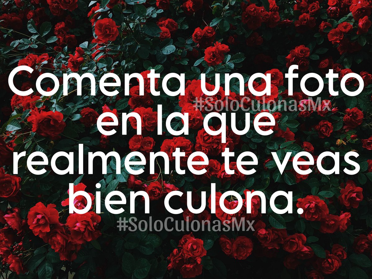 ᔑᝪしᝪ ᑕᑌしᝪᑎᗩᔑ tweet media