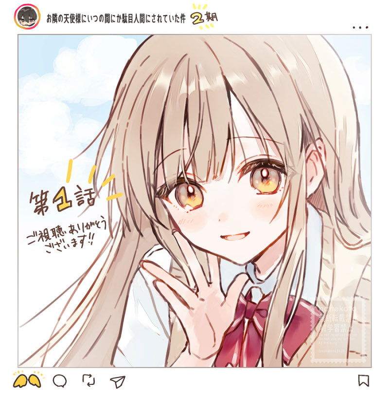 はねこと🌻 tweet media