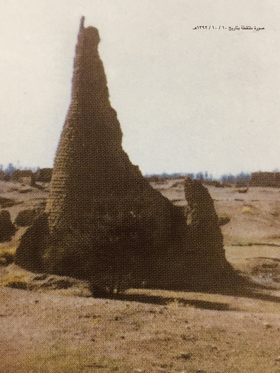 د.مرزوق الشمَّري tweet media