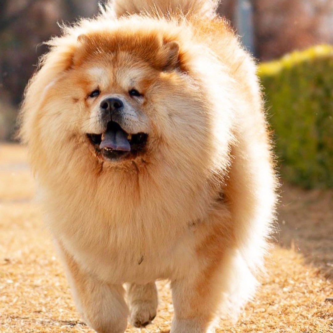 スペさん tweet media