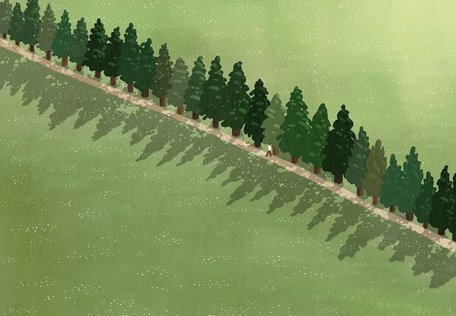 Игорь Бутов tweet media