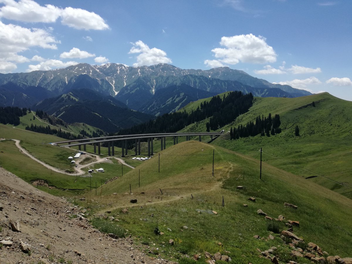 遊牧民 tweet media